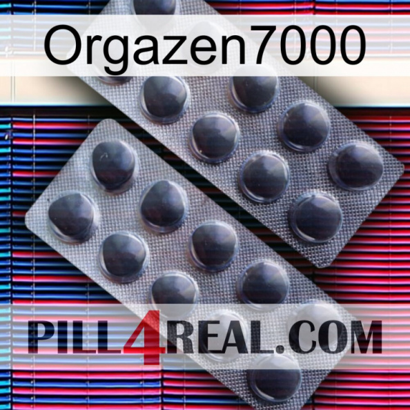 Orgazen7000 31.jpg